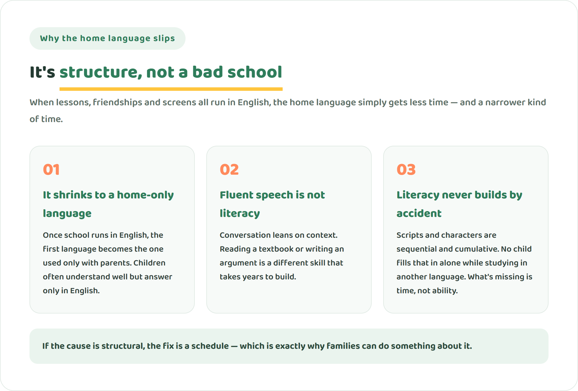 Infographic of three reasons the home language slips at international school: it shrinks to a home-only language, conversation is not academic literacy, and literacy never builds by accident